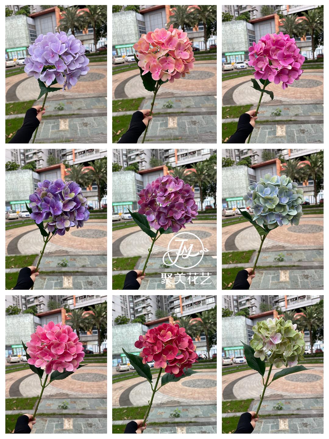 微信图片_20210815180802.jpg