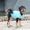 Nuevo suéter casual de punto trenzado de color liso para otoño e invierno para perro, moda, cómodo, ropa para mascotas, ropa cálida en stock