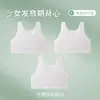 Ropa interior de material ligero para niñas en período de desarrollo, edades 8-14, Niños de primaria, Camisola de primera etapa para niñas