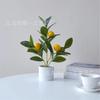Simulación Planta Verde Limón Maceta Árbol de Limón Fruta de Limón Pequeña Maceta Transfronteriza Accesorios de Fotografía Decoración de Escritorio Escritorio