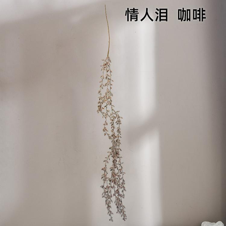秋色叶sku情人泪 咖啡