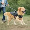 Arnés para mascotas para perros, anti-escape, adecuado para Golden Retrievers, perros Teddy y perros pequeños a medianos, transpirable, reflectante y ajustable