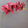 Sensación Simulada 9 Cabezas Phalaenopsis Exportación al por Mayor Modelo de Hogar Escandinavo Habitación de Modelo Hotel Boda Transmisión en Vivo Decoración Accesorios