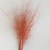 Novo buquê de arte rosa imortal para casa, rede vermelha, rosa, decoração de casamento, adereços de tiro, fábrica, atacado