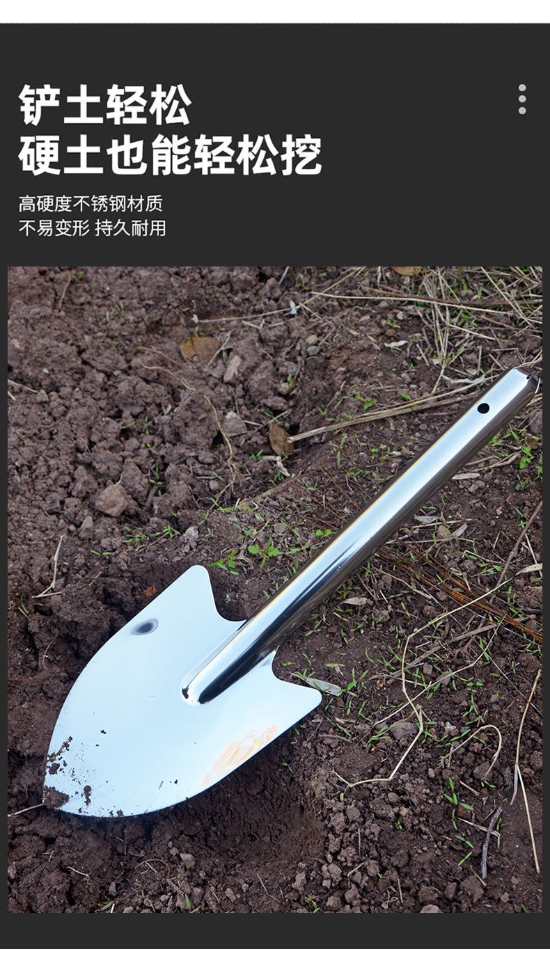 详情3