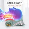 Almofada Cervical Aquecida de Losna Pura Cuidados com a Saúde Almofada Cervical Caixa de Presente Almofada de Massagem com Moxabustão Almofada Cilíndrica para Dormir Fisioterapia