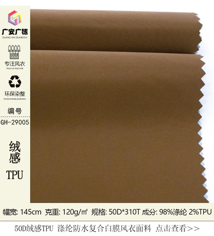 GH-29005合一详情