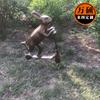 Plástico reforzado con fibra de vidrio imitación cobre linda escultura de animal pequeño escultura de conejo patinador adornos de decoración de paisaje de parque y comunidad