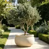 Macetero de cemento UHPC controlable en calidad, impermeable y a prueba de fugas, para áreas escénicas, patios, uso en exteriores, maceta de árbol grande de suelo con forma personalizada