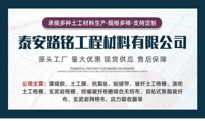 双向注塑拉伸带土工格栅_01.jpg