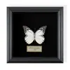 Moldura Rara com Espécime de Borboleta Real e Design de Borboleta com Serragem, Presente de Luxo, Pintura Decorativa com Espécime de Borboleta, Presente de Feriado