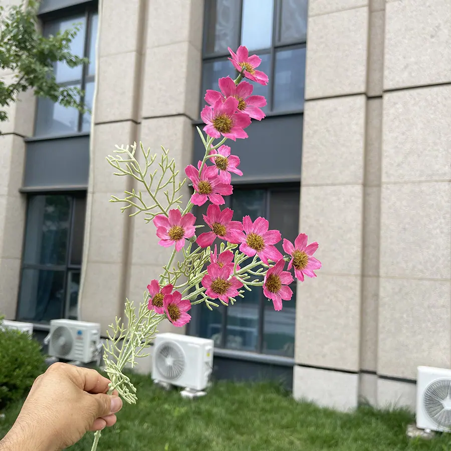 2叉植绒小野菊-xjmlkx 11#玫红.JPG