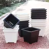 Maceta Gruesa de Plástico para Suculentas Maceta de Resina para Grupo de Sedum Cactus Maceta Combinada Maceta Cuadrada Pequeña Negra y Blanca Envío Gratis