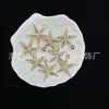 Estrella de Mar Dorada Perlada de ABS Estampada con Estrella Adorno Colgante para Coche Cadena de Teléfono Pulsera DIY Accesorios de Cuentas Venta al por Mayor para Transmisión en Vivo