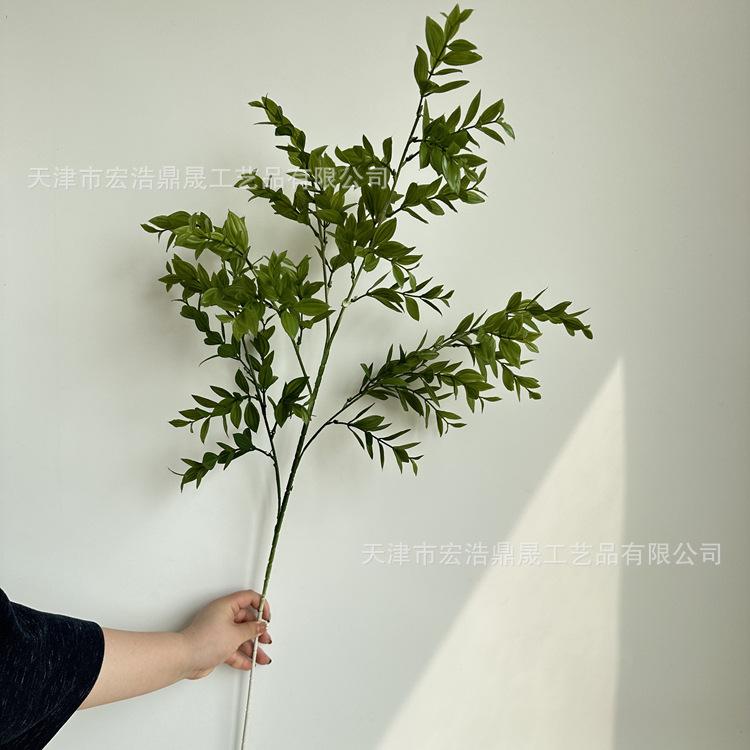 微信图片_2023040214504519_副本