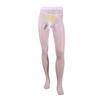 Qinghe Medias para Hombre Aceitosas Sexy Jj Set Set de Masaje de Silicona Abiertas Ultradelgadas Transparentes Sedosas Medias Panty