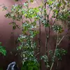 Simulación caballo borracho ventana de madera paisajismo planta interior planta verde biónica de alta gama árbol decorativo árbol falso grande paisaje simple