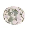 Piedra Cruda de Cristal Natural Lámina de Ágata Piedra de Energía Lámina Conformada Oficina Ovalada Piedra para Aliviar la Preocupación Chip de Agua Al Por Mayor