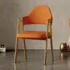 Silla de Comedor Lujo Ligero Silla de Ocio con Respaldo para el Hogar Taburete Simple para Escritorio Silla para Restaurante, Té con Leche, Uñas Silla de Recepción de Negocios