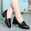 Sapatos de bico fino de camada única para mulheres 2024 Primavera Novos sapatos femininos de salto médio, couro macio, sola macia, sapatos femininos de couro, salto grosso, sapatos elegantes para mães