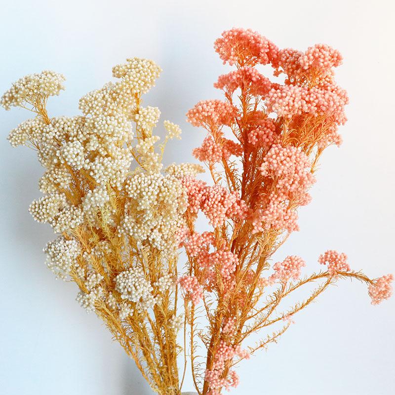 米花