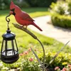 Innovador, divertido y práctico diseño de Amazon transfronterizo Luz Solar de Cardenal luz solar de suelo de cardenal rojo