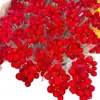 Flor de Morango Vermelha Eterna, Flor Seca Natural, Enfeite Decorativo para Sala de Estar, Presente de Dia dos Namorados Aniversário