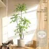 Planta Nandina Aterrizaje Planta en Maceta Interior Grande Biónica Verde Adornos Sala de Estar Lujo Ligero Flor Decorativa Árbol Falso