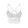 8836# Outlet de Fábrica Encaje Wrap Pecho Tejido Push-up Tubo Top Sexy Lencería Sin Aro de Acero Espalda Bonita Sujetador para Chica