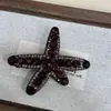 Novo Estilo Exquisito Versátil Grampo de Cabelo Estrela Feminino Atmosfera Franja de Cabelo Lado Frontal Presilha Bico de Pato Acessórios de Cabelo