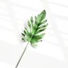 Accesorios de fotografía con hojas estilo Ins, adornos para decoración de uñas, fondo de tela para fotografía de Taobao