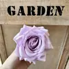 Flor Artificial Rosa com Pétalas Enroladas 12 Cores Cabeça de Flor Falsa Flores Artificiais de Alta Qualidade Decoração de Parede de Flores para Casamento Diâmetro 9cm Fabricante de Flores Artificiais