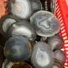 Venta al por mayor de fábrica posavasos de pieza de ágata rodajas de piedra de ágata natural color joyería de pieza de ágata adornos de rodaja de ágata