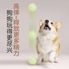 Yite Juguete para Perro Bola Elástica Luminosa Resistente a Mordidas y Molares Bola Interactiva de Entrenamiento Nocturno Juguete Rebotador para Alivio del Aburrimiento