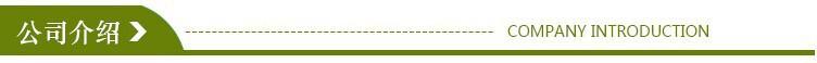 公司介绍