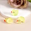 Acessórios Luminosos DIY Feitos à Mão Mais Vendidos Transfronteiriços Enfeites de Micro Paisagem Musgo Pato Colorido Animal Micro Cena