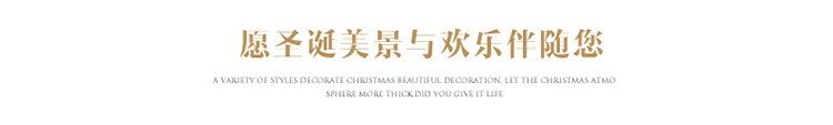 圣诞美景与欢乐伴随你.jpg