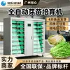 Incubadora de Brotes Totalmente Automática Comercial Máquina de Brotes de Frijol Xuzhong Brotes de Guisante Frijol Negro Frijol Mungo Máquina Inteligente de Cultivo de Brotes