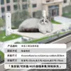 Hamaca para Gatos Mejorada Transfronteriza Nido para Mascotas Cuatro Estaciones Ventosa Colgante Nido para Gatos Plegable Ventana de Ciudad Cama para Gatos Suministros para Gatos