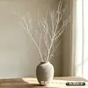 Novo Produto Kuang Xiang Zhe [Galhos de Bétula Branca] Estilo Wabi-Sabi de Alta Qualidade Janela de Casamento Decoração de Casa Galhos de Flores Secas