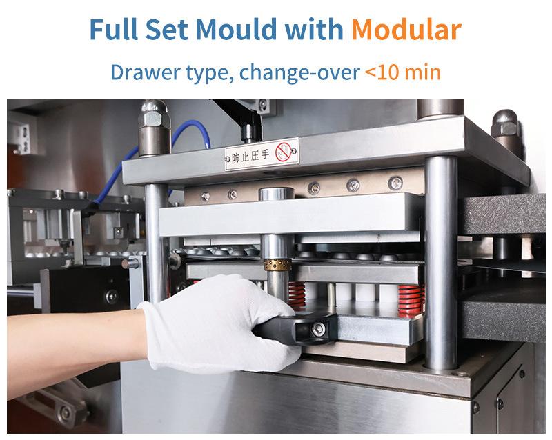 dpp-250 blister packing machine