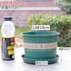 Maceta Plástico Especial Liquidación Wholesale Grande Balcón Potos Pequeño Bandeja Maceta Extra Grande Galón Resina Suculenta