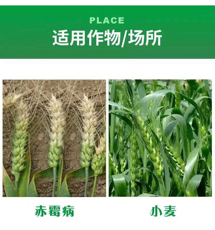 戊唑咪鲜胺3