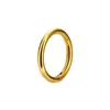 Anillo de Nariz Cerrado Sin Costuras 316L, Joyería para Piercing de Aro Cerrado Unisex, Al por Mayor en Stock, Al por Mayor Fabricante Transfronterizo
