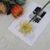 Vento artificial chuva azul bianhua decoração de casa Flor de seda mandala manzhasha decoração de loja combinação fresca flor