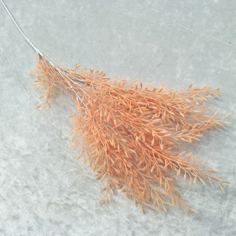 2号米粒草浅橘色
