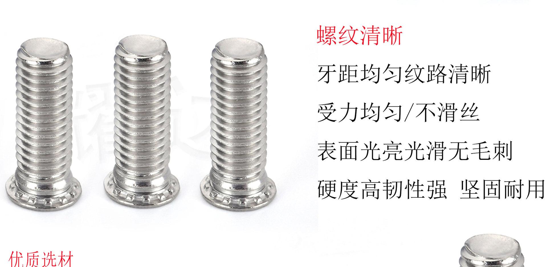 不锈钢压铆螺钉_02