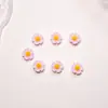 Flores Pequeñas Frescas, Flores de Cinco Pétalos, Accesorios para Uñas Artísticas, Pequeños Accesorios de Resina Tridimensionales, Accesorios Coloridos Portátiles para Uñas, Materiales para Manualidades
