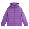 Chaqueta con capucha acanalada para hombre y mujer, imitación plumón de aerogel, impermeable, cálida, versátil, talla grande, abrigo de algodón, compra grupal transfronteriza