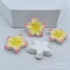 Accesorios de resina de flor degradada de cinco pétalos para manualidades con pegamento de crema, accesorios para el cabello, diademas decorativas, fundas de teléfono y materiales para zapatos de madera.